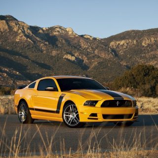 Ford Mustang 5th gen.